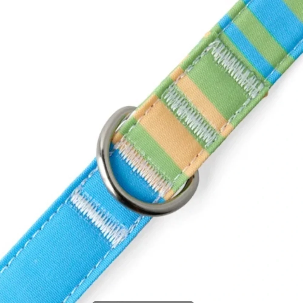 NWT Youly champion striped 6ft dog lead leash
